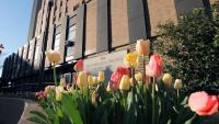 Neurological Institute of New York front view